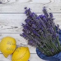 Віддушка Lemon & Lavender, 1 літр