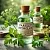 Parsley Hydrosol 1 L cosmetic ingredient Mylo Opt