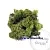Icelandic moss polysaccharide hydrolyzate 50 ml cosmetic ingredient Mylo Opt