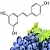 Liposomes With Resveratrol 100 g cosmetic ingredient Mylo Opt