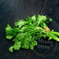 Кориандра гликолевый экстракт, 1 л