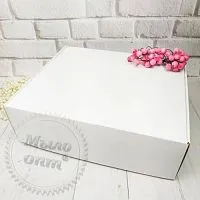 Box Natural white 2 cosmetic ingredient Mylo Opt