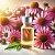 Echinacea Glycolic Extract 25 ml cosmetic ingredient Mylo Opt