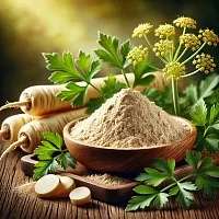 Parsnip Extract Powder 1 kg