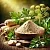 Parsnip Extract Powder 1 kg, photos, reviews, use