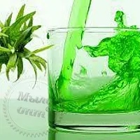 Food Flavor Tarhun (Ukraine), 1 L