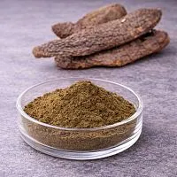 Cistancia desertica dry extract 100 g cosmetic ingredient Mylo Opt