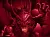 Dragon's blood 100 гр