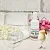 Food flavoring Pina Colada 5 ml cosmetic ingredient Mylo Opt