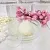 Lotus Butter 1 kg cosmetic ingredient Mylo Opt
