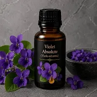 Violet Absolute 100 g cosmetic ingredient Mylo Opt