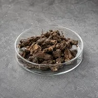 Перстач біла - коріння з кореневищами 10 кг