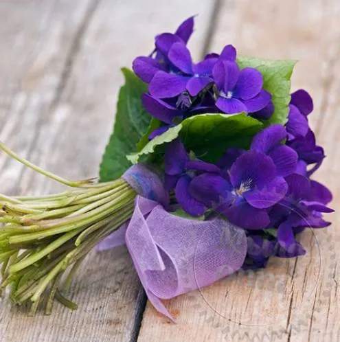 Hypoallergenic Fragrance Oil Violet 1 L Mylo Opt global supplier Hypoallergenic Fragrance Oil Violet 1 L cosmetic ingredient Mylo Opt