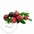 Cranberry Extract Concentrate 1 L cosmetic ingredient Mylo Opt