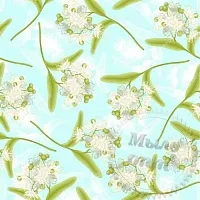 Linden Fragrance Oil 1 L cosmetic ingredient Mylo Opt