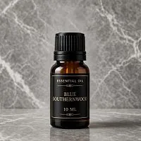 Artemisia Abrotanum blue Essential Oil 10 ml cosmetic ingredient Mylo Opt
