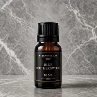 Artemisia Abrotanum blue Essential Oil 10 ml cosmetic ingredient Mylo Opt