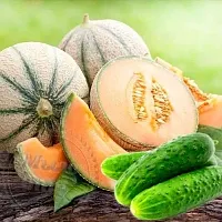 Fragrance Oil Cucumber and melon 50 ml cosmetic ingredient Mylo Opt