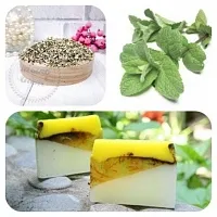 Dried flowers Peppermint, 5 g