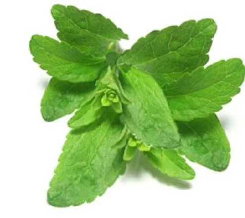 Stevia Extract Powder 51 1 kg Mylo Opt global supplier Stevia Extract Powder 51 1 kg cosmetic ingredient Mylo Opt