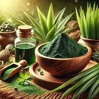Экстракт Спирулины сухой, 1 кг описание и применение