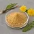 Dandelion Extract Powder 5 g cosmetic ingredient Mylo Opt