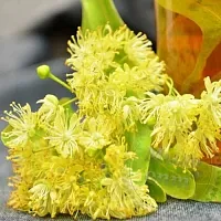 Авто-аромат Липові Квіти 1 літр