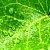 Fresh Fragrance Oil 10 ml cosmetic ingredient Mylo Opt