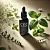 Melissa CO2 Extract 100 g cosmetic ingredient Mylo Opt