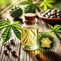 Касторовое масло, от 225 кг описание и применение