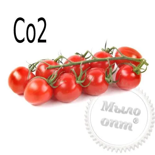 Экстракт CO2 Томата, 100 грамм сырье для косметики Экстракт CO2 Томата, 100 грамм артикул TM21082202