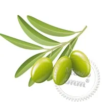 Olive oil extract 500 ml cosmetic ingredient Mylo Opt