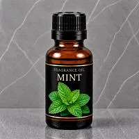 Mint Fragrance Oil 10 ml cosmetic ingredient Mylo Opt