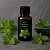 Mint Flavor Extract 1 L cosmetic ingredient Mylo Opt