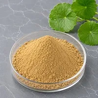 Gotu Kola Extract Powder 100 g cosmetic ingredient Mylo Opt