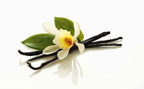 Vanilla flavor 95 1 L Mylo Opt global supplier Vanilla flavor 95 1 L cosmetic ingredient Mylo Opt