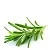 Flavoring food Rosemary, 1 L, photos, reviews, use