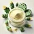 Prickly Pear Extract Powder 1 kg cosmetic ingredient Mylo Opt