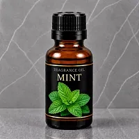 Mint Fragrance Oil 1 L cosmetic ingredient Mylo Opt