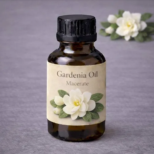 Gardenia Oil (Macerate) 10 ml cosmetic ingredient Mylo Opt