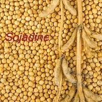 Sojadine, 20 g cosmetic ingredient Mylo Opt