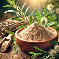 Экстракт Ивы Белой сухой, 5 грамм