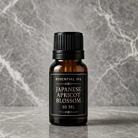 Prunus mume Essential Oil 10 ml cosmetic ingredient Mylo Opt