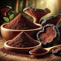 Chaga Extract Powder 5 g, rating ⭐⭐⭐⭐⭐, 13.77 UAH – Milo Opt, worldwide delivery