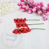 Красные ягоды (шефердия) на проволочке