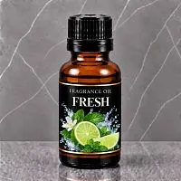 Fresh Fragrance Oil 10 ml cosmetic ingredient Mylo Opt