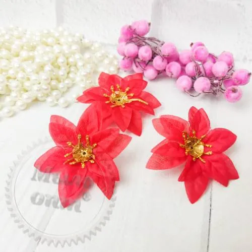 Poinsettia small 6 cm, red Mylo Opt global supplier Poinsettia small 6 cm, red cosmetic ingredient Mylo Opt