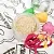 Amaranth Powder 1 kg cosmetic ingredient Mylo Opt