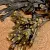 Absolute Fucus, 5 g, photos, reviews, use