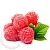 Raspberry Leaf Oil Extract 5 ml, photos, reviews, use